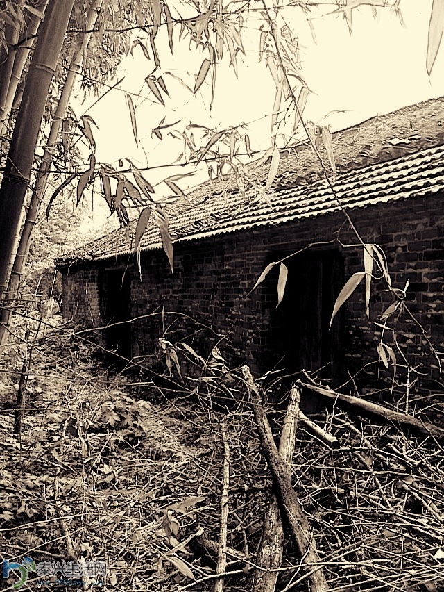 ��Ƭ2013 889.jpg