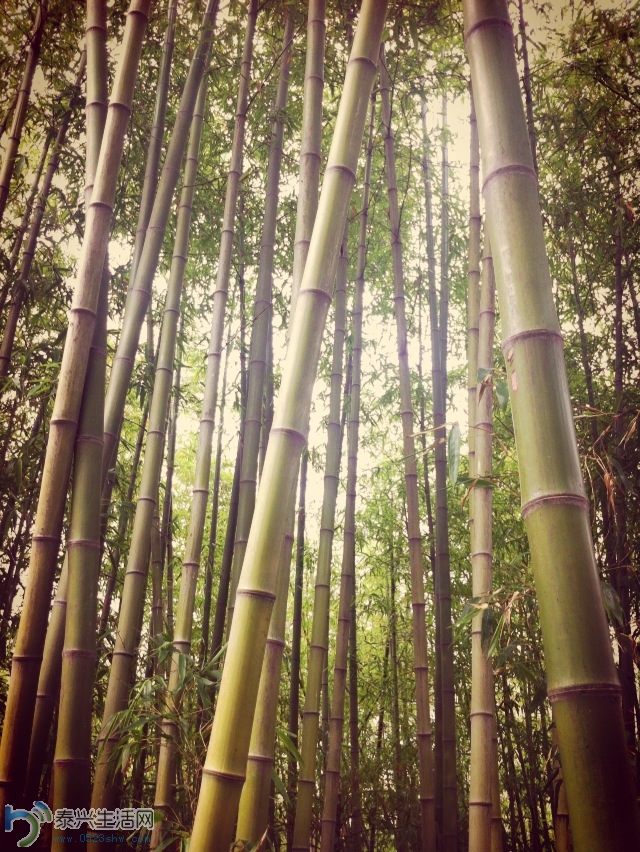 ��Ƭ2013 890.jpg