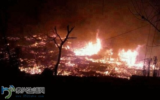 20140127034434117b2_550 (1).jpg