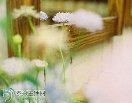 74FF009A1D71_����.jpg