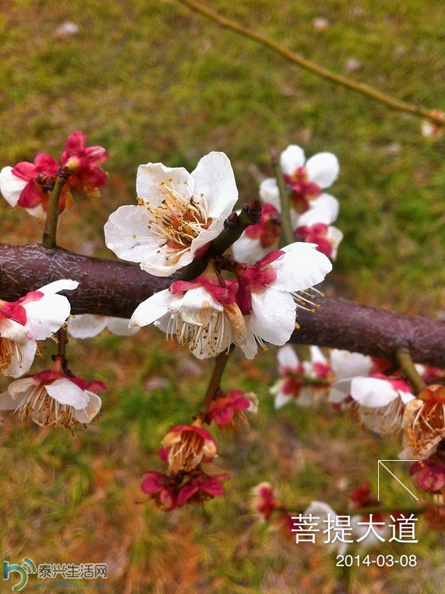 ��Ƭ2013 1937.jpg