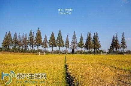 ũ��Ժ����