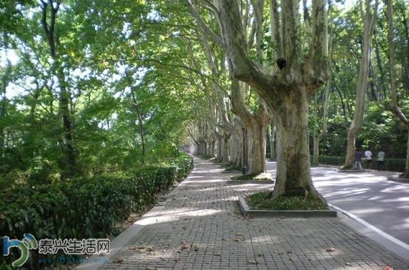 ����ֵ���վ1�ų���