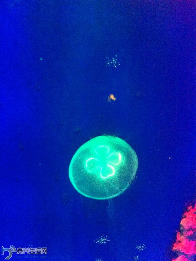 ��Ƭ2013 1504.jpg