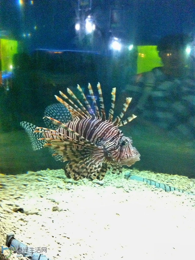 ��Ƭ2013 1512.jpg