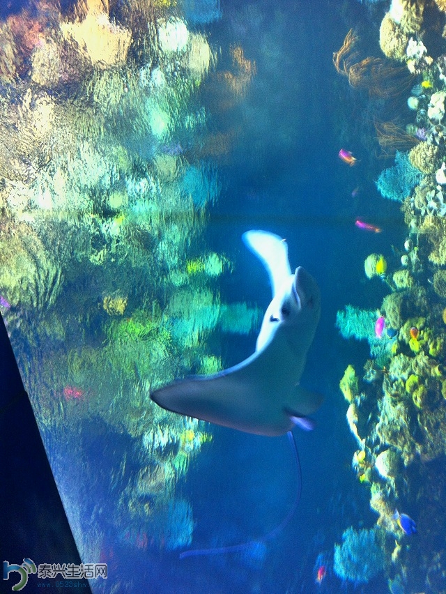 ��Ƭ2013 1336.jpg