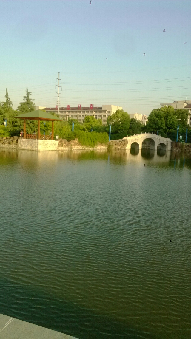 20140506172613_20220.jpg