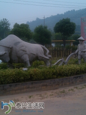 1402436179434 2013678067.jpg