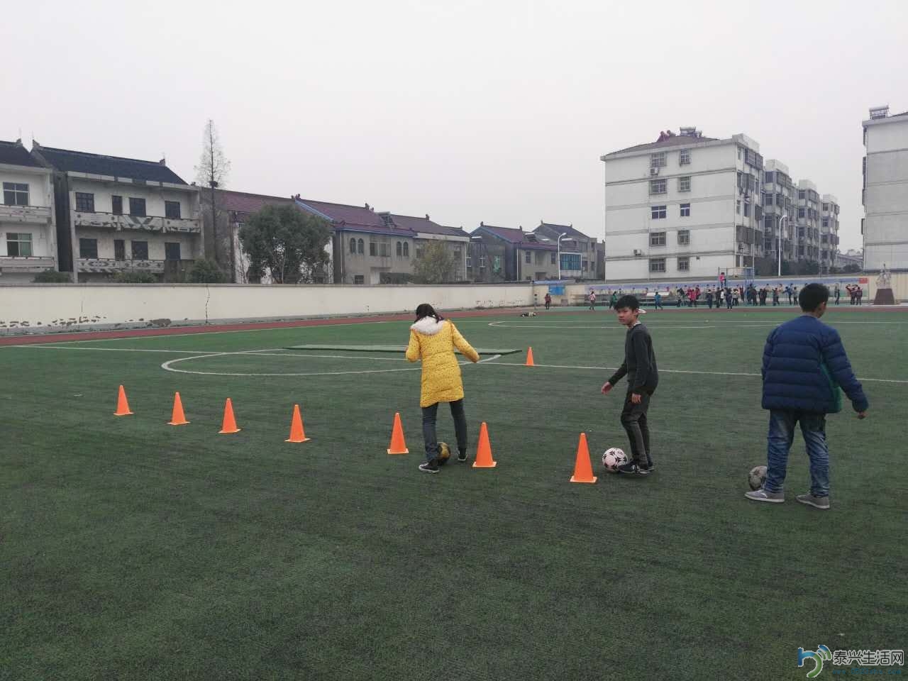 ���� (50).JPG