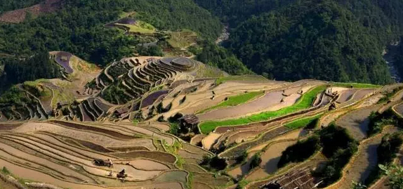 5 - ����.png