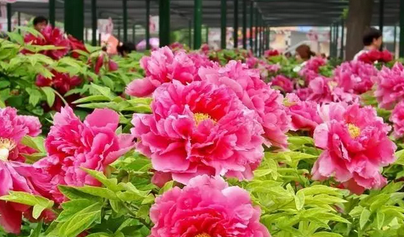 6 - ����.png