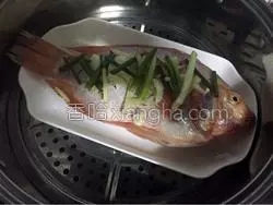 MjUwX2MxXzA.webp (3).jpg