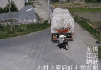 5.gif