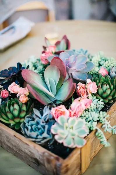 ee8f0083b5ebb47_size291_w564_h846.jpg