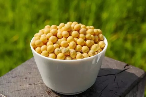 NjAwX2MxXzQwMA.webp (3).jpg