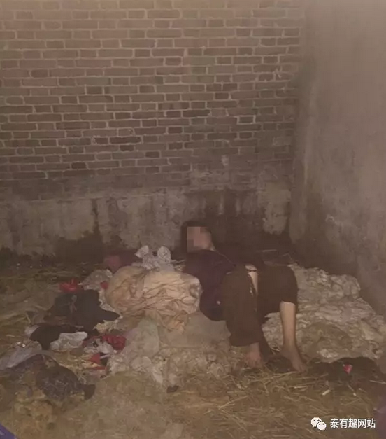 ΢�Ž�ͼ_20170704082505.png