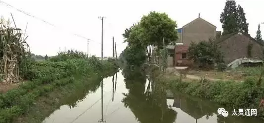 ΢�Ž�ͼ_20170715084018 - ����.png