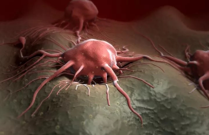 640 (10).webp (3).jpg