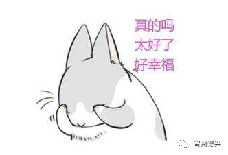 8605843270549a2d8934a47c989e533b.png